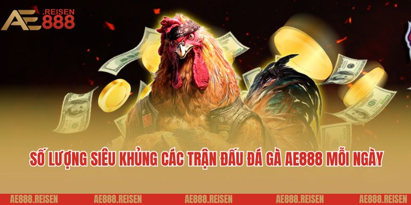 Số lượng siêu khủng các trận đấu đá gà AE888 mỗi ngày