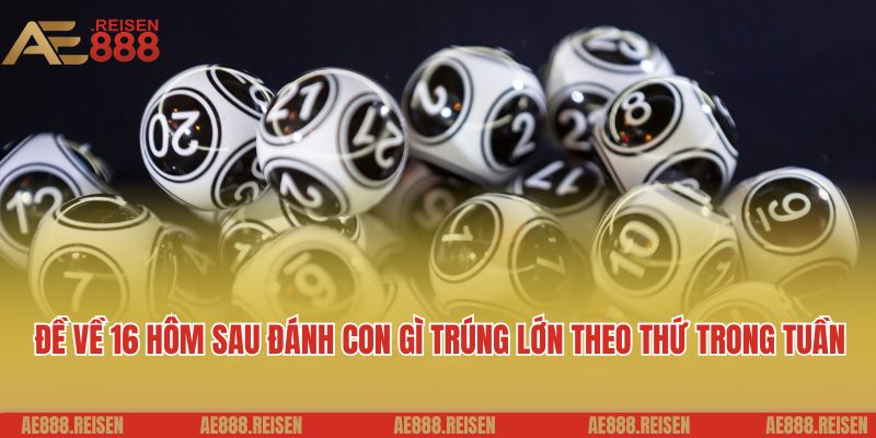 Đề về 16 hôm sau đánh con gì trúng lớn theo thứ trong tuần