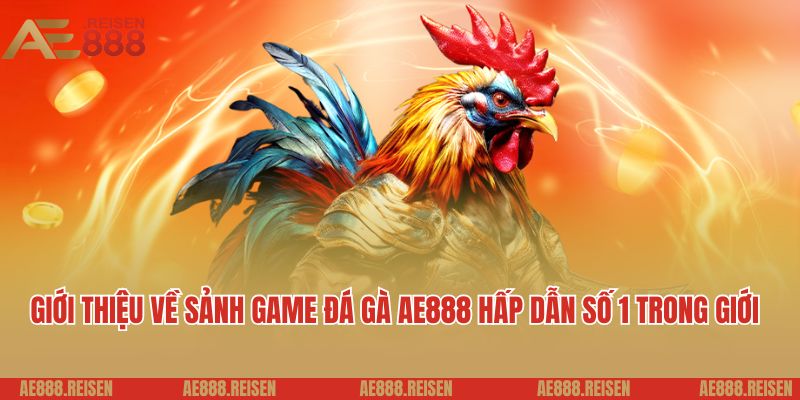 Giới thiệu về sảnh game đá gà AE888 hấp dẫn số 1 trong giới