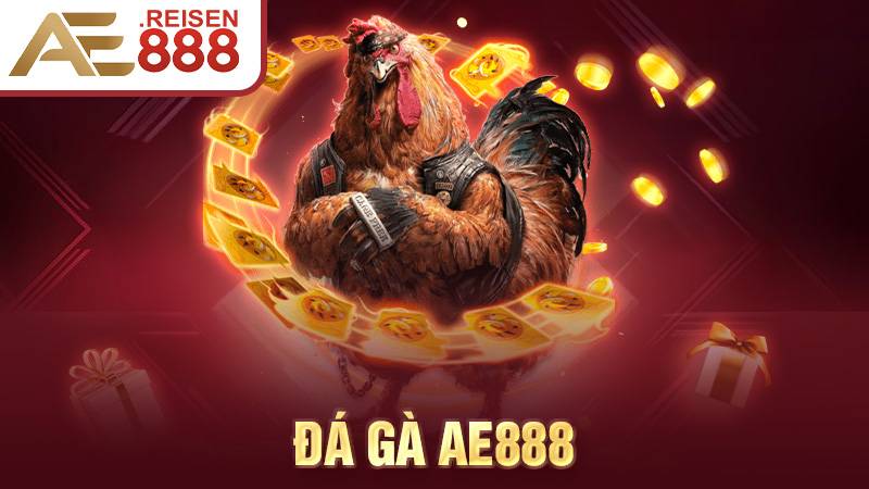 Đá gà AE888