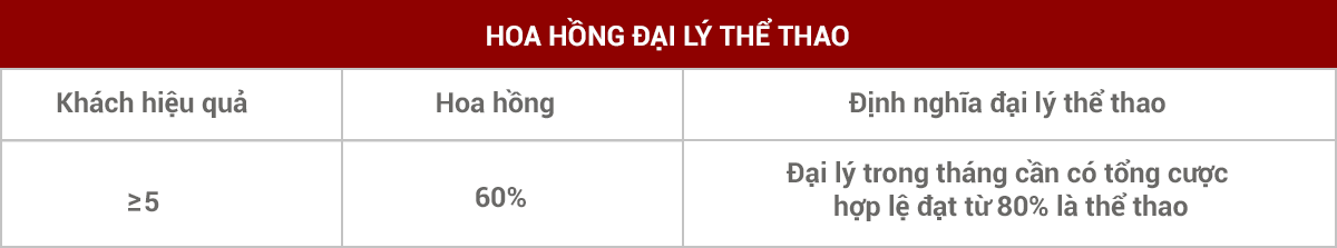 CHÍNH SÁCH ĐẠI LÝ THỂ THAO